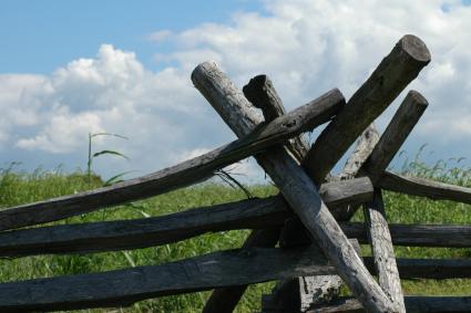 fence