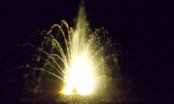 Picture taken with wide aperture