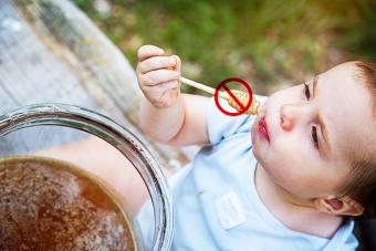 Baby tasting honey off a big jar