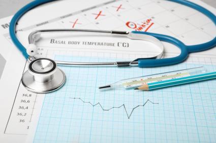 Ovulation cycle in women