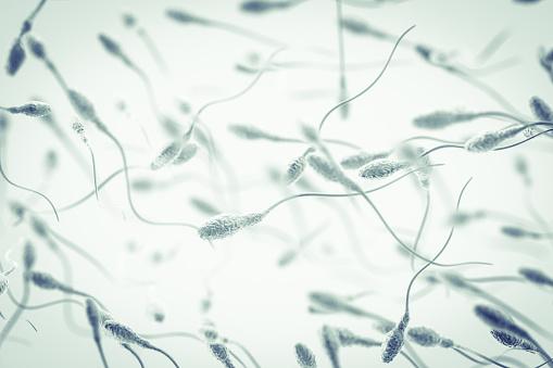 Genetics background