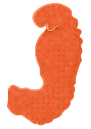 embryo at 5 weeks pregnant