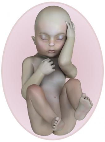 Baby at 25 weeks pregnant
