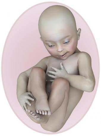 baby at 35 weeks pregnant