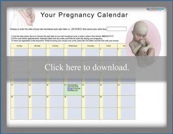 printable pregnancy calendar