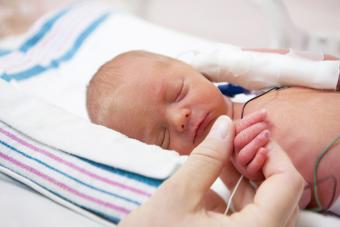 Mother holding hand of a premature baby in incubator