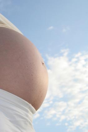 pregnancy calendar