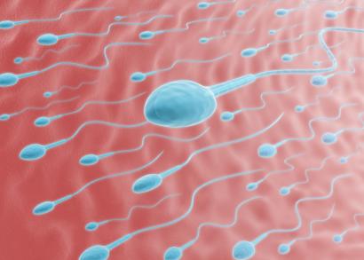 ivf in vitro sperm