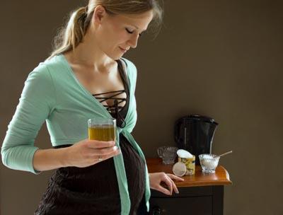 The Girlfriends' Guide to Pregnancy