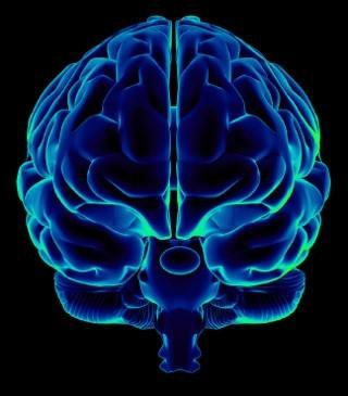 The brain and its effects on childbirth