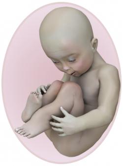 baby at 32 weeks pregnant