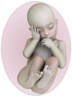 baby at 28 weeks pregnant
