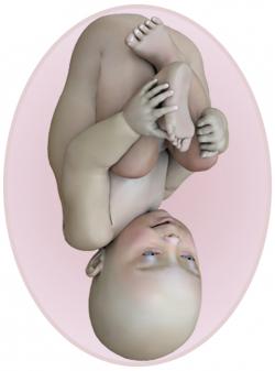 baby at 38 weeks pregnant