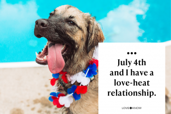 Cute dog with tongue out panting and drooling at pool party