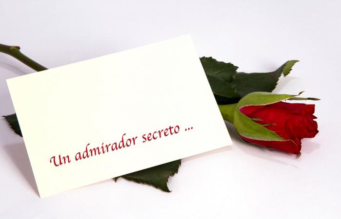 Rosa con nota secreta de admirador