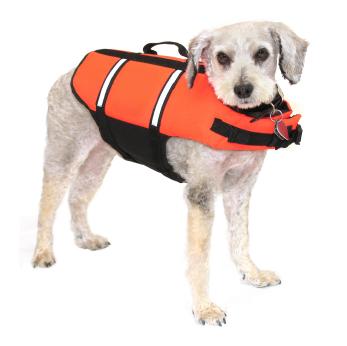 Protection for your dog around water.