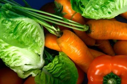 food safety