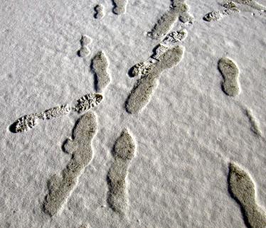 Footprints in snow