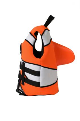 life jacket