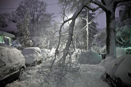Severe Weather -- Snow Storm