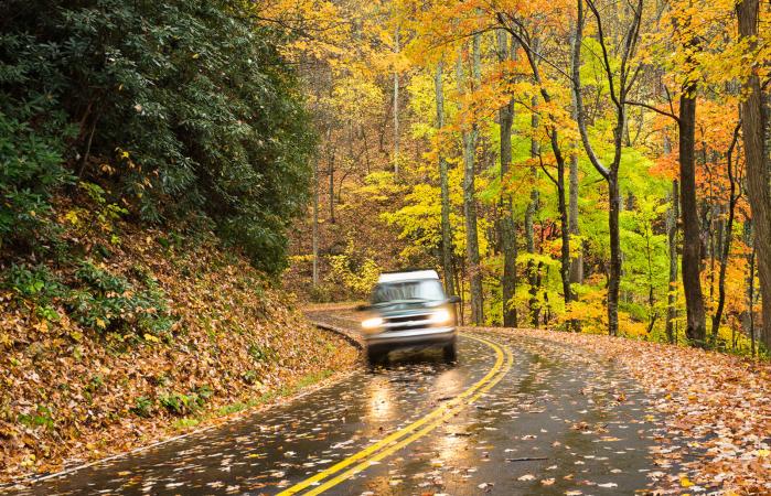 Car driving down wet road covered in fall leaves