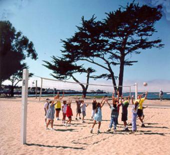 https://cf.ltkcdn.net/sanfrancisco/images/slide/10216-500x456-volleyballplayers.jpg