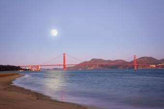 https://cf.ltkcdn.net/sanfrancisco/images/slide/10253-849x565-tourist7.jpg