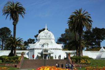 https://cf.ltkcdn.net/sanfrancisco/images/slide/164983-800x533-conservatory-of-flowers.jpg
