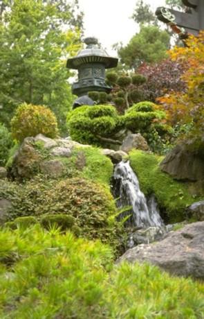 Discover fun attractions in Golden Gate Park.