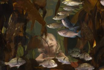 kids looking at fish