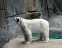 Learn about the most popular San Francisco attractions