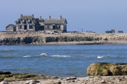 Ano Nuevo State Park