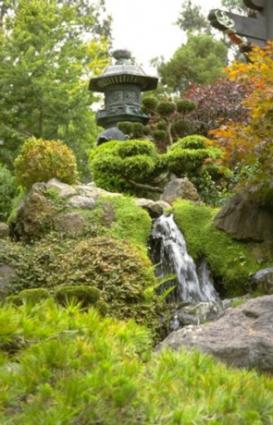 Discover fun attractions in Golden Gate Park.