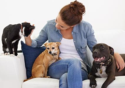 Woman with multiple pets