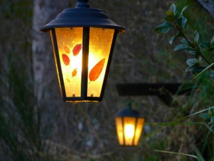 Accentuate the beauty of your garden with cheap outdoor lighting