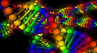 DNA