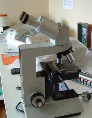 microscope
