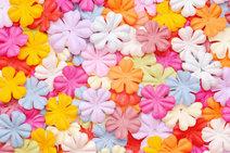 multiple flowers