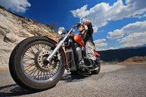 guy on low rider