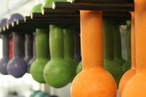 Weights used in resistance training