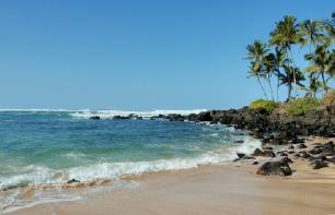 Turtle Beach, Hawaii