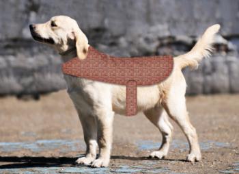 dog apparel patterns