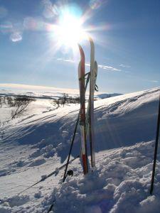 skis in the snow