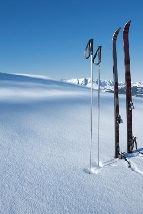 Praxis Skis