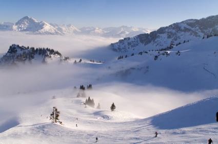 Ski Cams