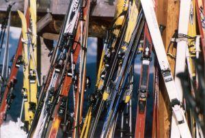 ski collection