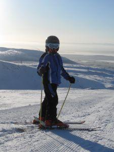 skier and poles