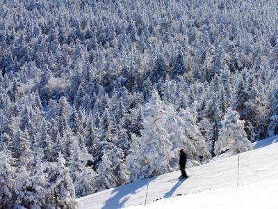 Skiing in Taos is a breathtaking experience