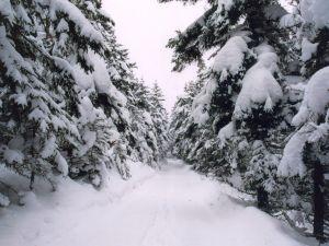 Vermont snow