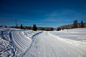 Cross Country Ski Track